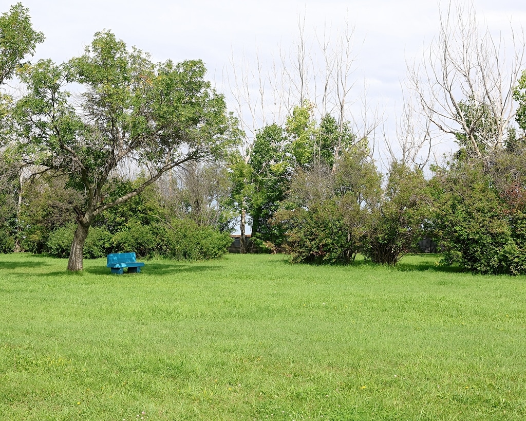 Photo_0846